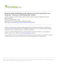 Image result for Faroa involucrata