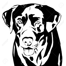 Vector Silhouet Van Een Hond Op Een Witte Achtergrond Honden Silhouet Honden Hond Tekeningen