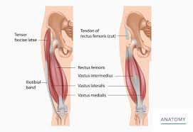 Treatment For It Band Pain Dr Geoffrey Van Thiel