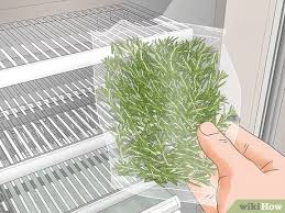Maybe you would like to learn more about one of these? How To Harvest Rosemary 8 Steps With Pictures Wikihow