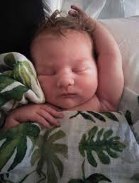 From the Principal Student Achievements Old Scholars Spring 2020 — Community