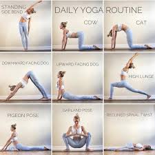 Yoga Pro Master On Twitter Daily Yoga Routine Yoga Routine Types Of Yoga