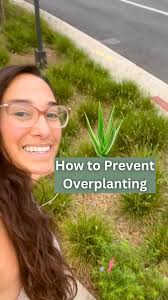 Although this garden looks like it’s