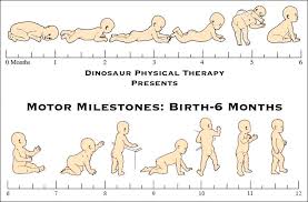 motor milestones for infants birth 6 months baby milestones