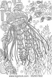 23 free printable insect & animal adult coloring pages; Free Coloring Pages For Adults Jellyfish Coloring And Drawing