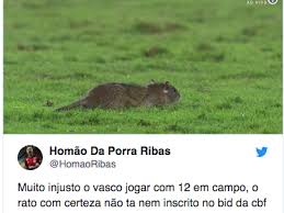 O vasco recebe o caracas (ven), às 21h30, em são januário. Rato Em Campo No Jogo Entre Vasco E Bahia Rende Memes Na Web Veja Meionorte Com