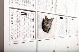 Schuhregal platzsparend ikea / ikea kaarst nachhaltigkeit. Trixie Tierbett Passend Fur Z B Ikea Kallax Oder Expedit Katzenhoehle Online Kaufen Otto