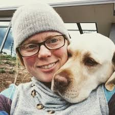 Weimaraner Puppies For Sale. Weimaraner Dog Breeders in Darwin, NT Perfect  Pets