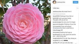 1800flowers.com has been visited by 100k+ users in the past month Zoe Ball Misses Her Radio Show After Death Of Boyfriend Bbc News