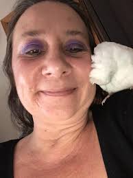 Frosty and Tailor (Ti Ti ) after play time ❤️🐕