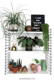 This expands my area to add another level of house plants. The Perfect Plant Shelf In 6 Simple Steps