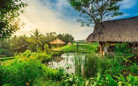 Pemandangan pegunungan di indonesia di 2021 pemandangan sumber : Gambar Alam Pedesaan