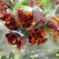 Oc wholesale flowers santa ana. Orange County Wholesale Flowers Sandpointe Santa Ana Ca