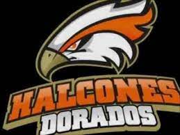 Escudo de halcones dorados o11ce source from : Los Halcones Dorados Posts Facebook