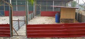 Usaha beternak itik petelur akan menghasilkan telur itik. 6 Kandang Bebek Petelur Modern Yang Bisa Di Terapkan Desain Kandang Ayam Kandang Ayam Modern