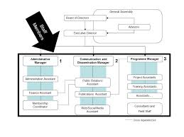 Organizational Structure Of An Ngo