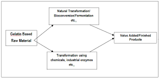 And allah ta'ala knows best. Https Documen Site Download Advances In Environmental Biology Perspective Pdf