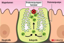 Dieser artikel befasst sich mit biochemischen protonenpumpen. Blahungen Sodbrennen Obstipation Qualende Magen Darm Probleme Pta Forum