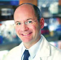 COLLABORATION ACTION EVOLUTION