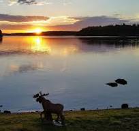Pine Point Lodge & Resort - CoolWorks.com