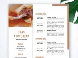 Your modern professional cv ready in 10 minutes‎. Indesign Resume Cv Template Free Download 2021 Resumekraft