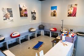 We feed and give water in stainless steel bowls. Locations Dc Dog Sitting Pet Care
