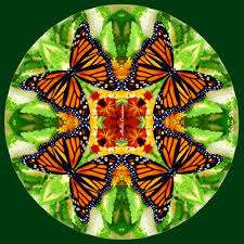 Via Giphy Mandala Ancient Aztecs Sacred Geometry Mandala