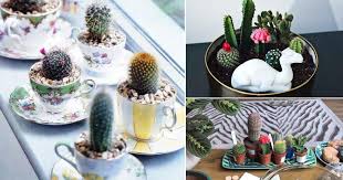 Steps to making an indoor cactus garden: 20 Diy Cactus Garden Ideas How To Build A Cactus Garden