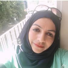 How can model FRP reinforcments embedded in RC elemnt usin DIANA?