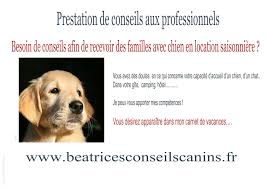 296 annonces de garde d'animaux à nîmes. Bon A Savoir Sur La Garde D Animaux Chien Et Chat Autres