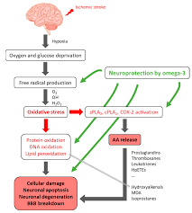 Image result for Stroke Pathophysiology
