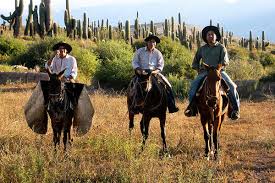 So, it makes the perfect horse riding vacation destination! Riding Holidays And Trail Riding In Argentina Equus Journeys
