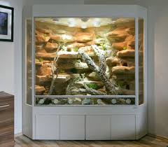 Modern Unique Reptile Terrarium Ideas Glassterrariumideas Howtomakeate Bearded Dragon Terrarium Bearded Dragon Terrarium Diy Bearded Dragon Terrarium Ideas