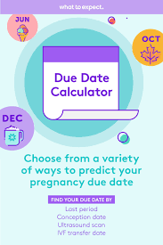 Pin On Pregnancy