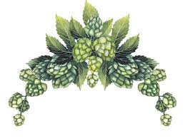 8091 babensham 87 steffan ferdinand, oberstudienrat, thalham 10, 8091 eiselfing ultsch rudolf, apotheker, zirnweg l, 8090 wasserburg am inn Https Www Xn Baderbru 6za De Page Id 1119