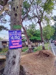 Gaji tki di bahrain 2021: Magetan Kumuh Banyak Banner Dipaku Di Pohon Satpol Pp Nggak Kreatif Suara Kumandang