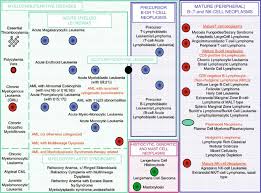 Image result for Hematologic Cancer
