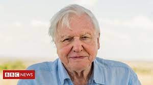 Sir david attenborough talks life under. Sir David Attenborough Receives Covid 19 Vaccine Bbc News