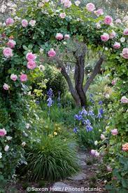 Flowers Are Indispensable Elements Of A Garden These Flowers Generally Have A Bigger Lifespan That Could Extend Beautiful Gardens Cottage Garden Dream Garden