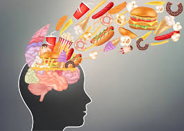 High-fat diet quickly affects memory and brain health
