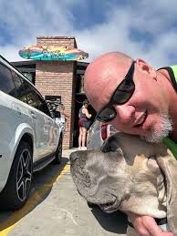 Great Dane Attached to Owner