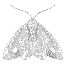 They are specifically, drawn by an artist, for a web site providing enjoyable activities for teenagers and adults. Downloads Millie Marotta