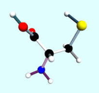 Cysteine - Wikipedia