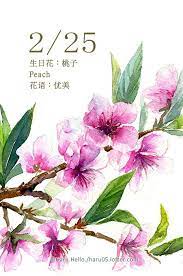 每日一花2 25 生日花 haru hello floral watercolor floral painting watercolor art paintings
