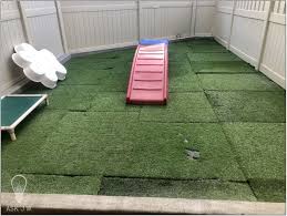 That's right.with a fieldturf synthetic lawn, your yard can have a beautiful area for your dogs every day.without the hassles and expense of maintaining a natural. Ask Jw Commercial Pet Turf Installation Drainage Synthetic Grass Warehouse