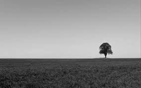 Minimalism 4k Ultra Hd 16 10 Wallpapers Hd Desktop Backgrounds 3840x2400 Images And Pictures Wallpapers in ultra hd 4k 3840x2160, 1920x1080 high definition resolutions.
