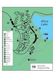 There are also 2 shower stations within the campground with electrical outlets. Alice Lake Camping