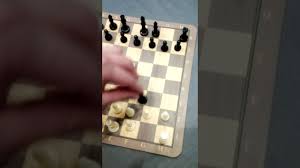 2016 • polen • säsong 16, avsnitt 8. Gambit Ojca Mateusza Youtube