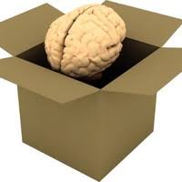 30+ "Stephen Haswell" profiles