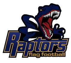 See raptor stock video clips. 21 Raptor Ideas Sports Logo Raptors Sports Team Logos